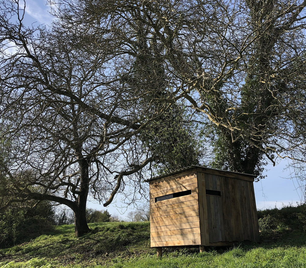 Photo du gîte