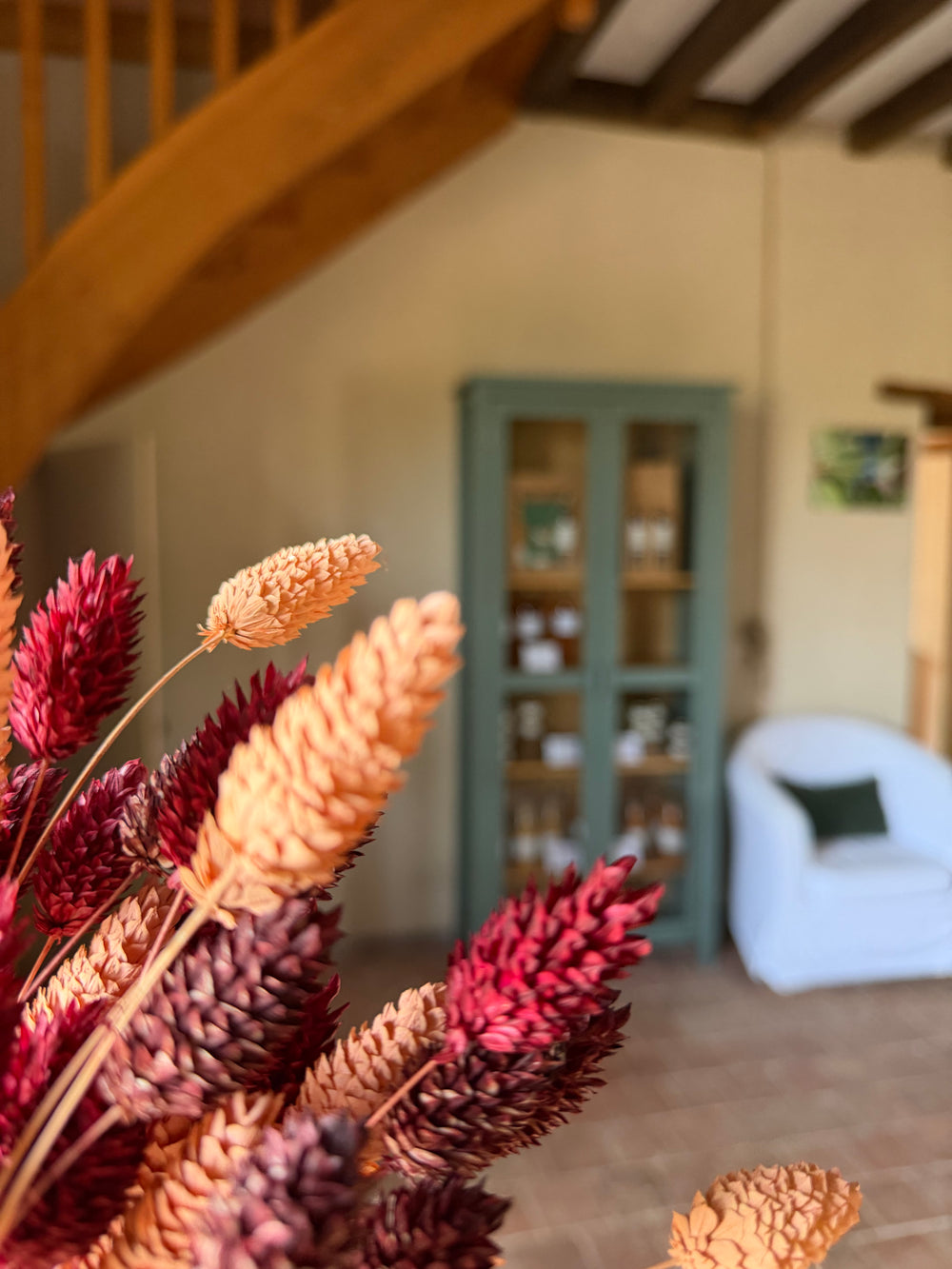 Photo du gîte