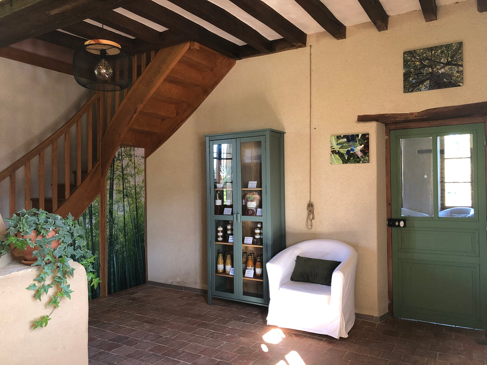 Photo du gîte