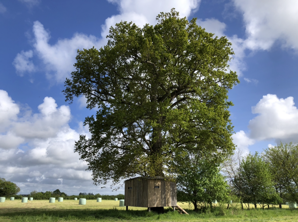 Photo du gîte