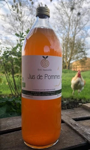 JUS DE POMMES - 1L