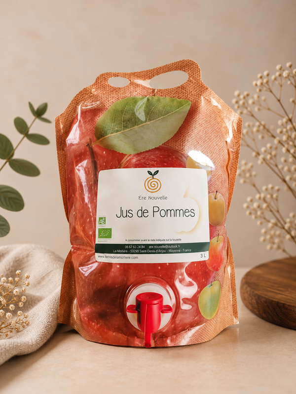 CUBIS DE JUS DE POMMES BIO - 3L