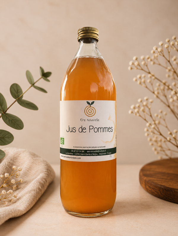 JUS DE POMMES - 1L